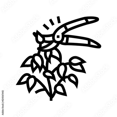 pruning urban gardening line icon vector. pruning urban gardening sign. isolated contour symbol black illustration