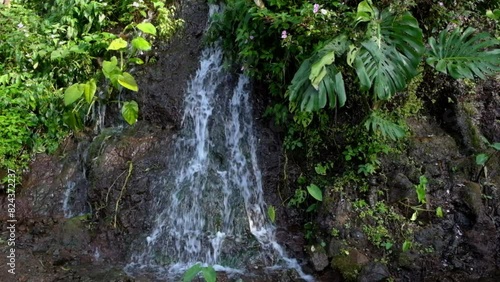 Natural water source with wild plants around it. The water is clear and flows fast. Natural vegetation of plants