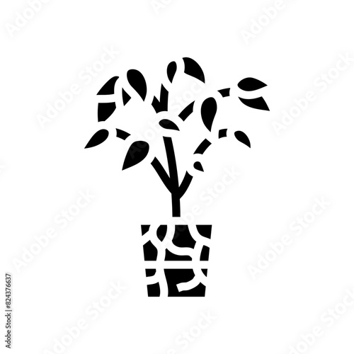 transplanting urban gardening glyph icon vector. transplanting urban gardening sign. isolated symbol illustration