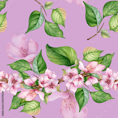 Watercolor branch of cherry tree with pink flowers seamless pattern isolated on pink. Blossom fruit tree branch hand drawn. Design element for packaging, cosmetic, backdrop, wallpaper, textile