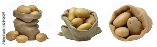 Potato tubers in a sack.  PNG file. Mockup template for artwork graphic design photo