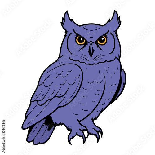 owl vector design illustration