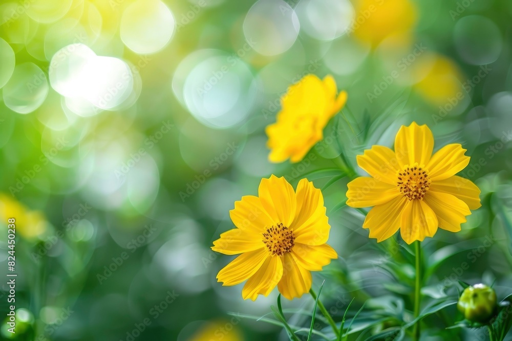 Nature view of yellow flower on blurred greenery background in garden with copy space using as background natural flower landscape, ecology, fresh wallpaper - generative ai Nature view of yellow flower on blurred greenery background in garden with copy space using as background natural flower landscape, ecology, fresh wallpaper - generative ai