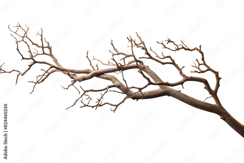 Solitudes Embrace on a White or Clear Surface PNG Transparent Background. Solitudes Embrace on a White or Clear Surface PNG Transparent Background.