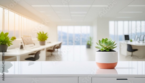  A minimalist modern office desk with a sleek white surface  a small potted succulent  