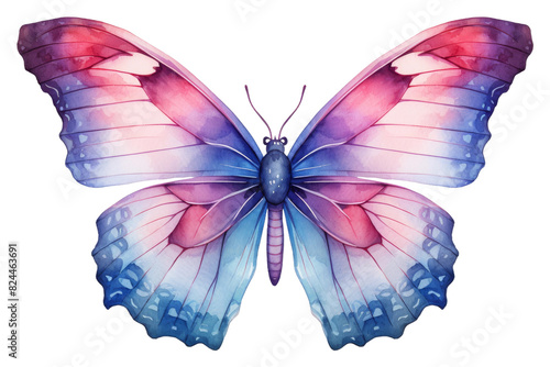 The Vibrant Dance of a Majestic Butterfly on a White or Clear Surface PNG Transparent Background. photo