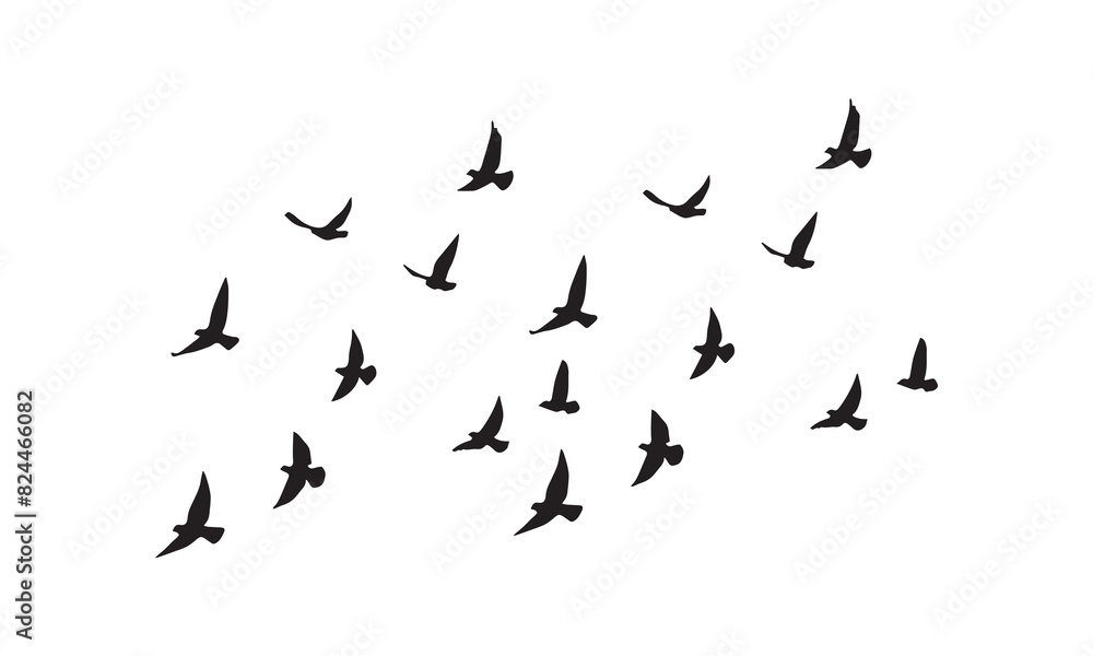 Naklejka premium Flying Birds Vector And Illustration.