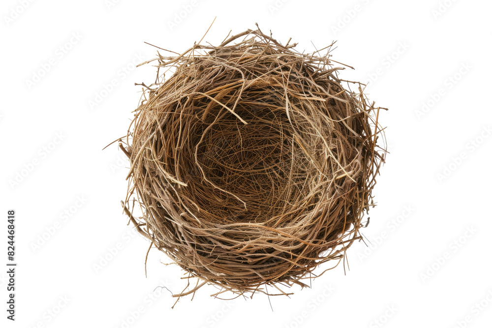 Empty bird nest isolated on white background Empty bird nest isolated on white background