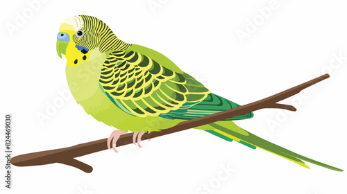 Cute budgerigar. Exotic budgie tropical parrot sitting photo