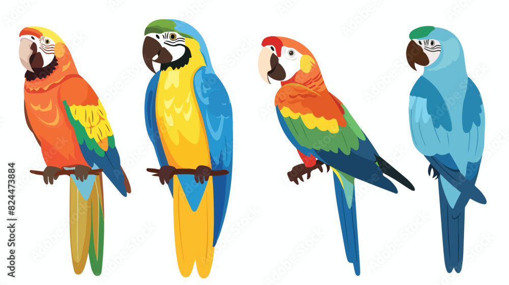 Parrots Four . Cute tropical jungle birds. Wild 