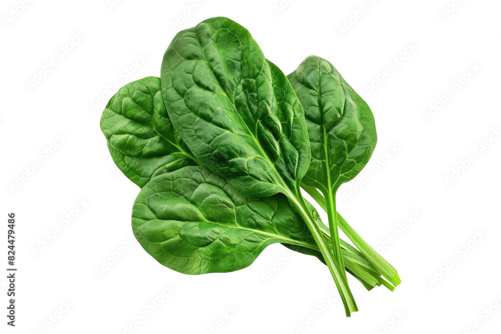 Spinach isolated on white background Spinach isolated on white background