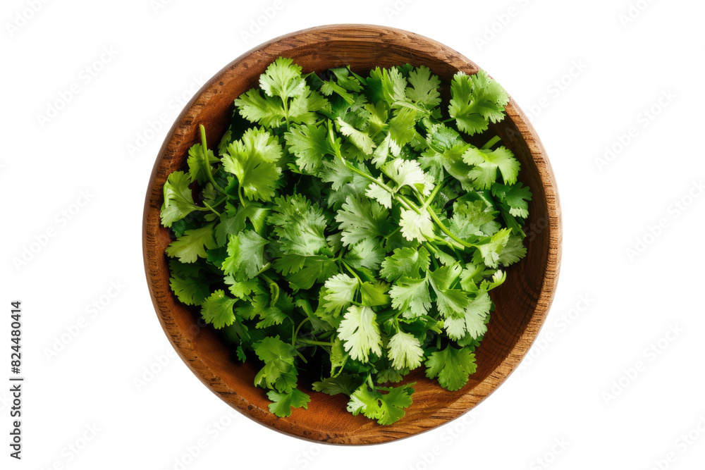 Top view of cilantro vegetable in a wooden bowl isolated on white background Top view of cilantro vegetable in a wooden bowl isolated on white background