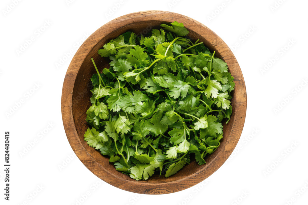 Top view of cilantro vegetable in a wooden bowl isolated on white background Top view of cilantro vegetable in a wooden bowl isolated on white background