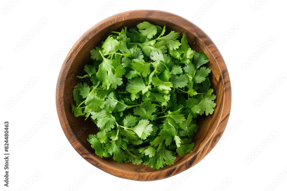 Top view of cilantro vegetable in a wooden bowl isolated on white background Top view of cilantro vegetable in a wooden bowl isolated on white background