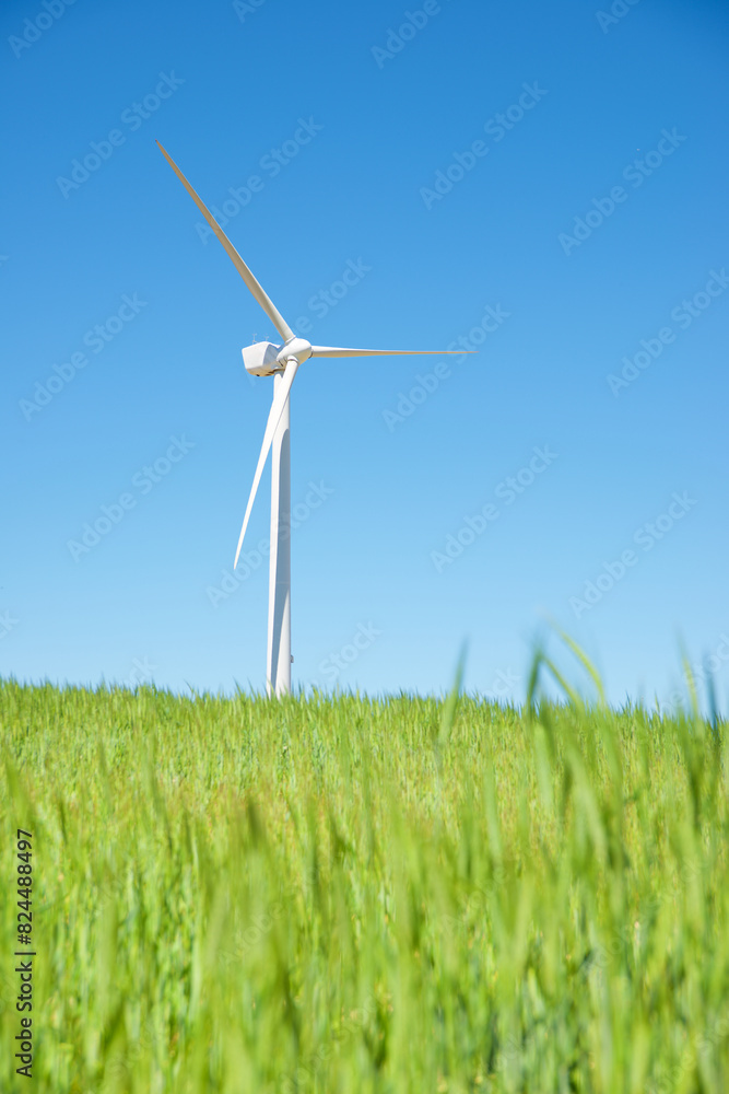 Wind turbine generator for green electricity production Wind turbine generator for green electricity production