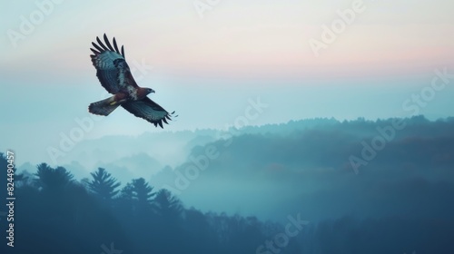 Eagle Soaring Over Forest at Dawn photo