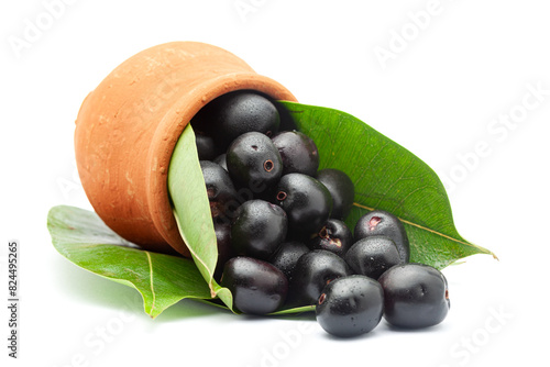 'Indian blackberry' or Jamun (Syzygium cumini) fresh fruits spilled from the mud pot. Isolated on a white background. Front view.