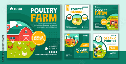 Poultry Farm Social Media Post Flat Cartoon Hand Drawn Templates Background Illustration