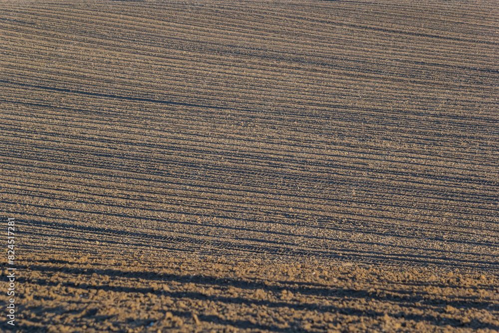 Plowed, Planted And Hilling Rows Black-earth Field. Ground Texture Plowed, Planted And Hilling Rows Black-earth Field. Ground Texture