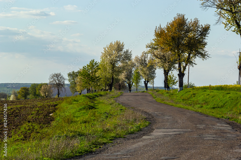 Broken country dirt road in spring mountains with lots of muddy puddles after the rain