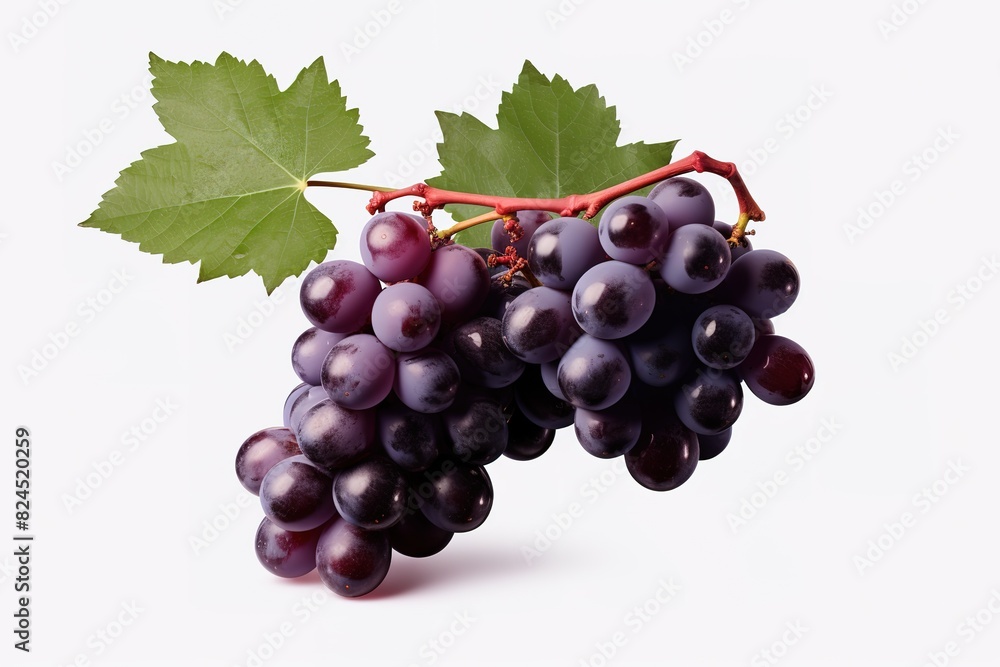 Fototapeta premium purple grapes with water drops on white background