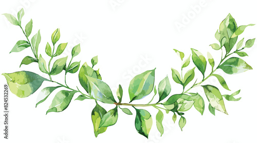 Watercolor green leaves wreath leaf boarder simple le photo