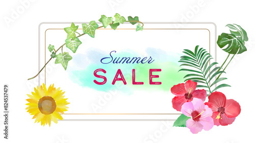 水彩の夏の植物のサマーセールのフレーム　16:9　ベクターイラストバナー　背景無し　白バック
