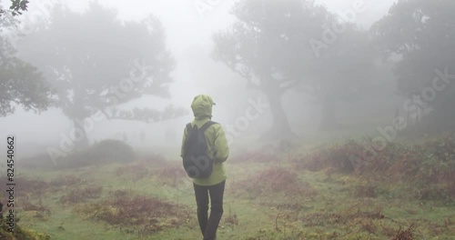 Young woman walk in foggy forest Fanal on Madeira island, Fairytale place in Portugal photo