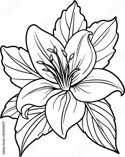 Floral coloring page