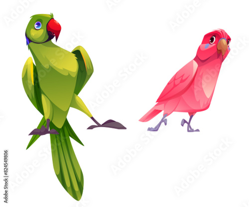 Cute parrot character. Happy jungle bird vector. Green gunny and crazy caribbean parakeet drawing set. Wild pirate animal with red beak and emotion expression design. Pink beautiful zoo birdie