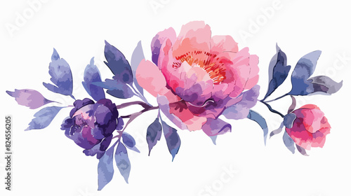 Watercolor purple pink peony Vector illustration Vector