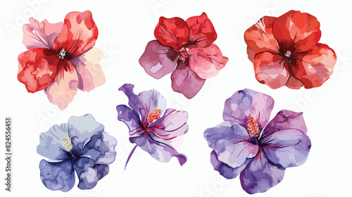 Watercolor purple red scarlet flower collection 