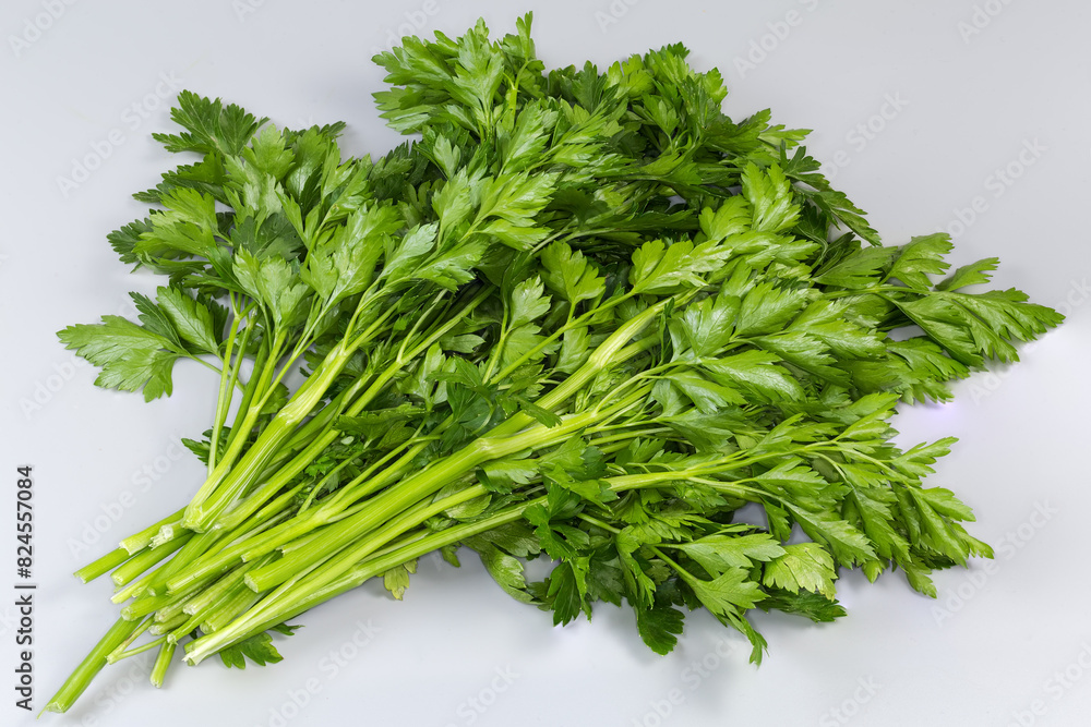 Bunch of fresh parsley on a gray background Bunch of fresh parsley on a gray background