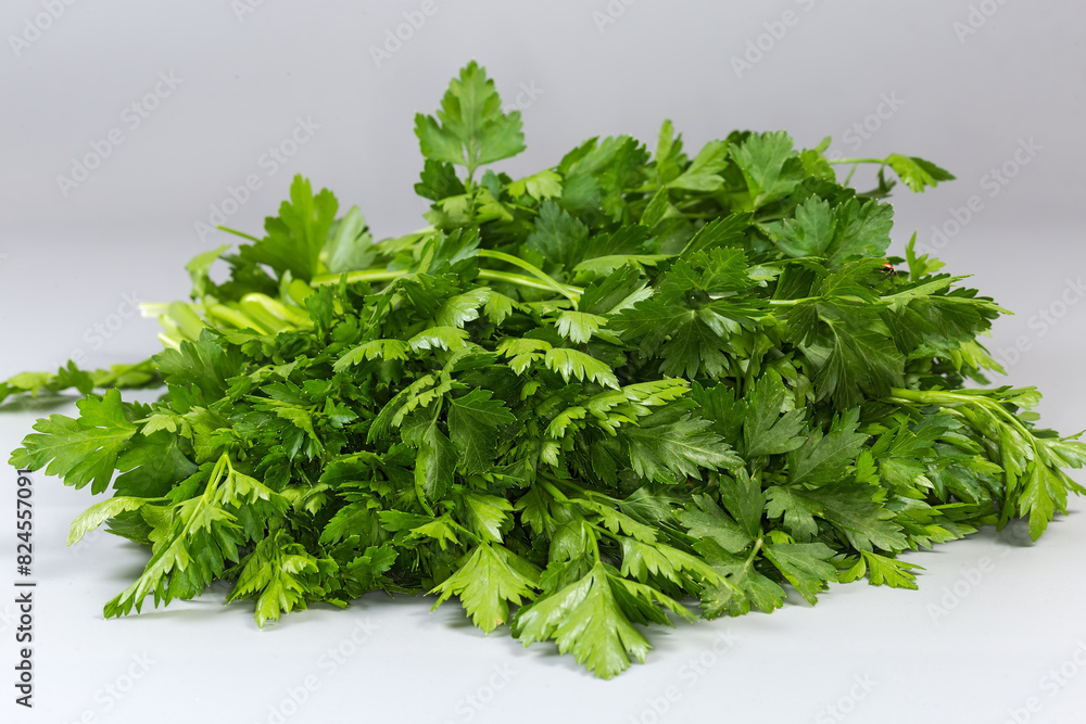 Obraz premium Heap of fresh parsley on a gray background, close-up