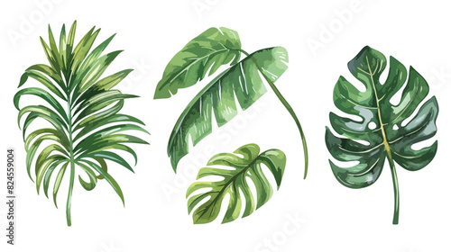 Watercolor tropical leaves arrangement jungle plants