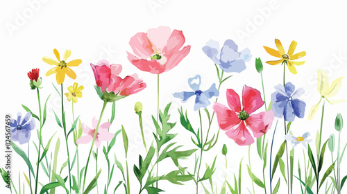 Wild flowers Four  border banner watercolor digital illustration