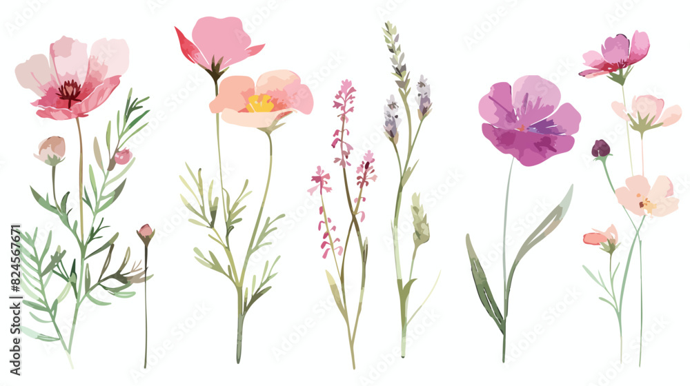 Wild flowers Four  watercolor digital illustration