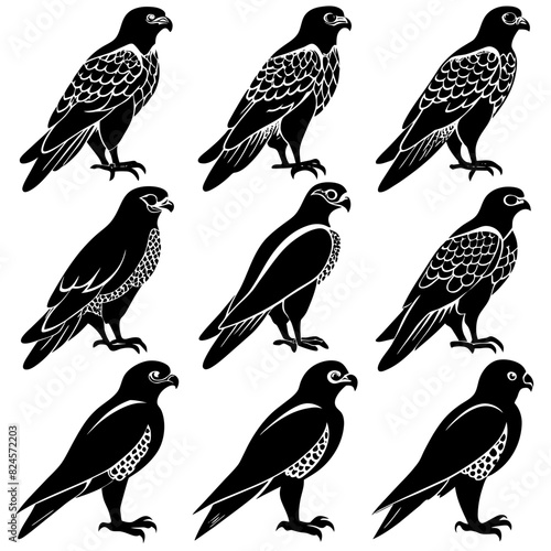 a-set-of-9pcs-falcon-animal-silhouette-vector-on-a