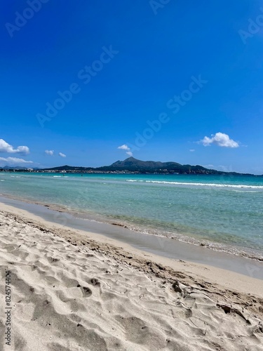 beach with sky