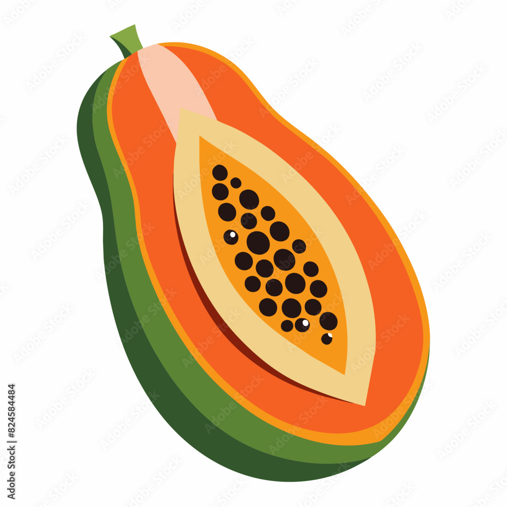 Vegetable papaya fruit vector illustration Vegetable papaya fruit vector illustration