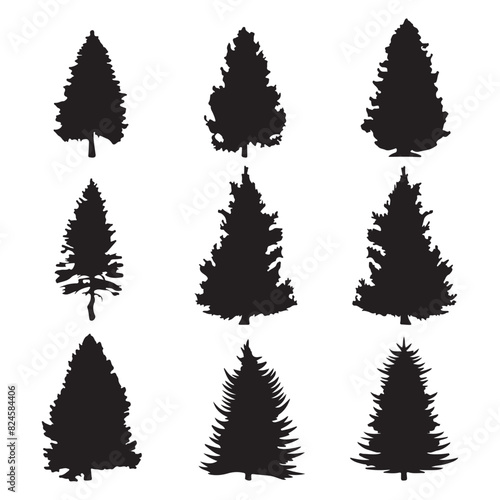 Collection of flat pine tree logo designs  black vector illustrations on white background