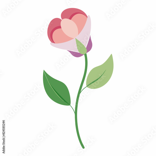 A minimalist Sweet Pea flower vector illustration 