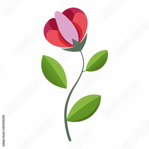A minimalist Sweet Pea flower vector illustration 