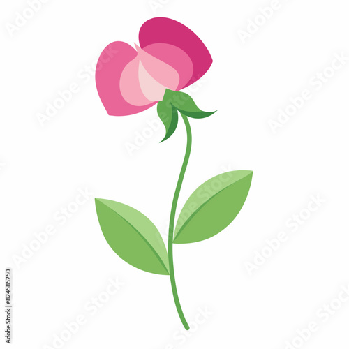 A minimalist Sweet Pea flower vector illustration 