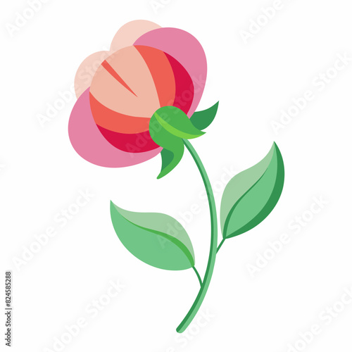 A minimalist Sweet Pea flower vector illustration 