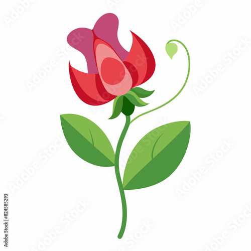 A minimalist Sweet Pea flower vector illustration 