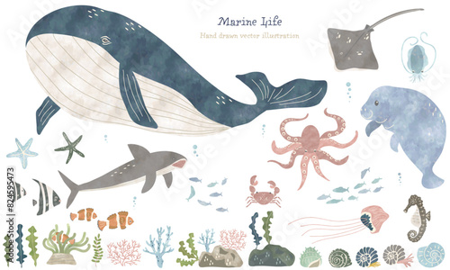 海洋生物たちのイラスト（水彩タッチ）