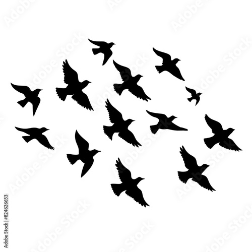 Flock of flying birds vector silhouette  white background