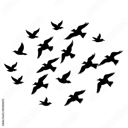 Flock of flying birds vector silhouette  white background