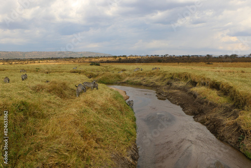 landscape with a river in Serengeti national park